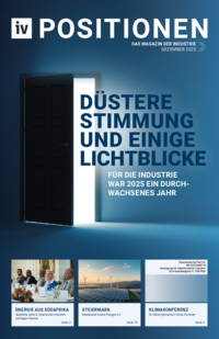 iv positionen Dezember 2025
